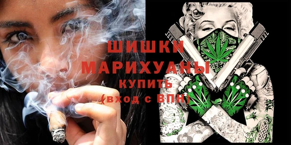 МДПВ Алексин