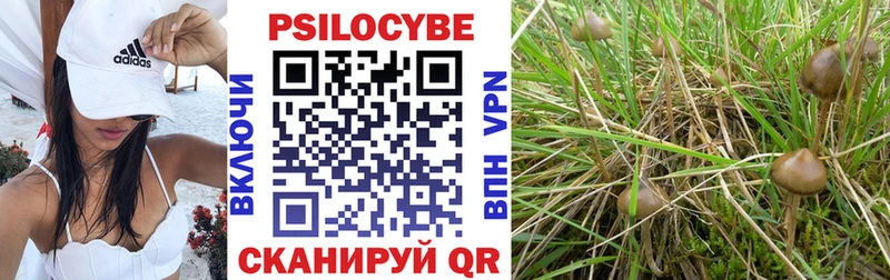 магазин продажи   Безенчук  Галлюциногенные грибы GOLDEN TEACHER 
